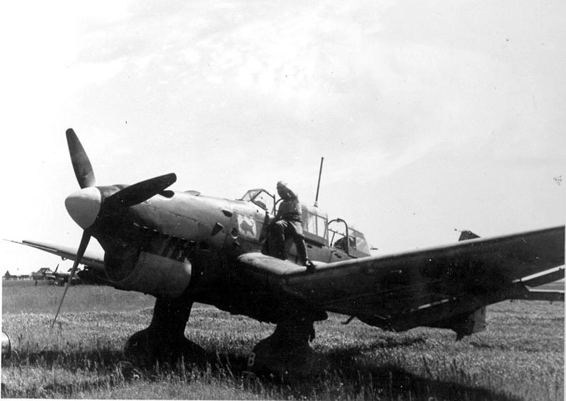 Cockpitprofil Ju 87 D5 Deutscheluftwaffe